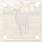 Brown Llama im Herbstweide Glasuntersetzer (Rückseite)
