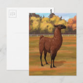Brown Llama im Herbstweide Postkarte (Vorne/Hinten)