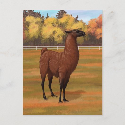 Brown Llama im Herbstweide Postkarte (Vorderseite)