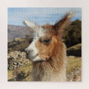 Brown Llama Nah up Face Profile - Cusco Peru Puzzle