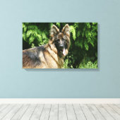 Brown Long Haired German Shepherd 1 Leinwanddruck (Insitu (Holzboden))