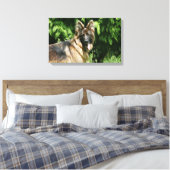 Brown Long Haired German Shepherd 1 Leinwanddruck (Insitu (Schlafzimmer))