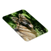 Brown Long Haired German Shepherd 1 Magnet (Rechte Seite)