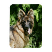 Brown Long Haired German Shepherd 1 Magnet (Vertikal)