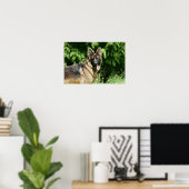 Brown Long Haired German Shepherd 1 Poster (Heimbüro)
