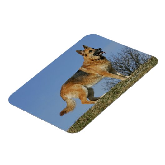 Brown Long Haired German Shepherd 2 Magnet (Linke Seite)