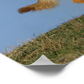 Brown Long Haired German Shepherd 2 Poster (Ecke)