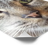 Brown Longhair Tabby Cat Fotodruck (Ecke)