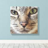 Brown Longhair Tabby Cat Leinwanddruck (Insitu (Holzboden))