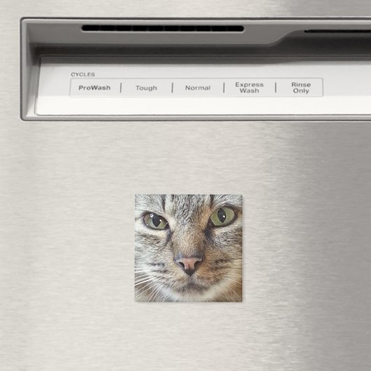 Brown Longhair Tabby Cat Magnet (In Situ (Geschirrspüler))