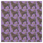 Brown-Löwe-portugiesischer Wasser-Hund mit Stoff (Muster)