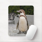 Brown Magellanic Pinguin Mousepad (Mit Mouse)