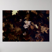 BROWN MAPLE-BLÄTTER POSTER (Vorne)