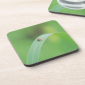 Brown-Marienkäfer Untersetzer (Linke Seite)