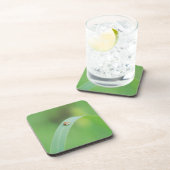 Brown-Marienkäfer Untersetzer (Rechte Seite)