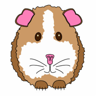 Meerschweinchen Wohndekoration & Haustierzubehör| Zazzle.de