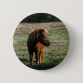 Brown Miniature Horses Button (Vorderseite)