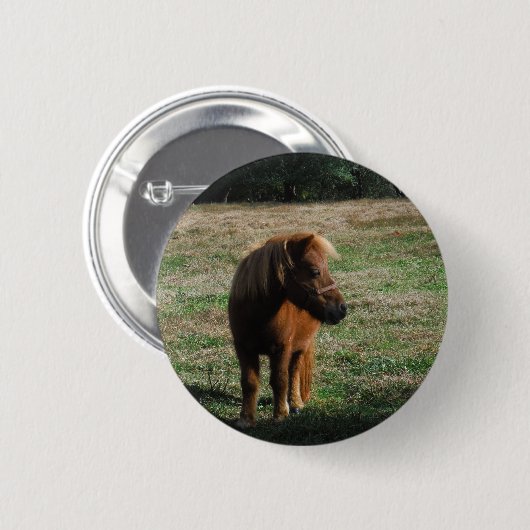 Brown Miniature Horses Button (Vorne & Hinten)