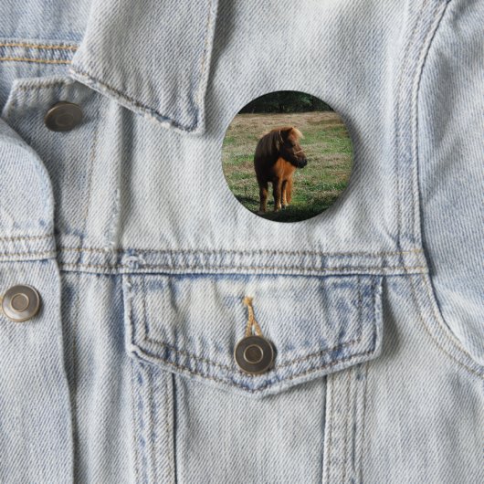 Brown Miniature Horses Button (Beispiel)