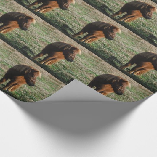 Brown Miniature Horses Geschenkpapier (Ecke)