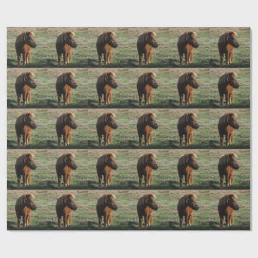 Brown Miniature Horses Geschenkpapier (Flach)
