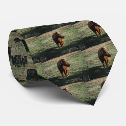 Brown Miniature Horses Krawatte (Gerollt)