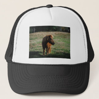 Brown Miniature Horses Truckerkappe
