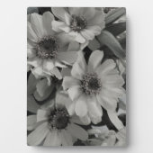 Brown Mit Augen Susan Blume Fotoplatte (Vorderseite)