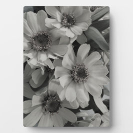 Brown Mit Augen Susan Blume Fotoplatte