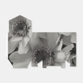 Brown Mit Augen Susan Blume Geschenkschachtel (Ungefaltet)