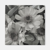 Brown Mit Augen Susan Blume Magnet (Vorne)