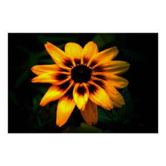 Brown Mit Augen Susan Blume Poster