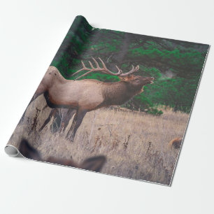 BROWN MOOSE IN DER NÄHE VON GRÜNEM BAUM AM TAG GESCHENKPAPIER