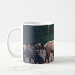 BROWN MOOSE IN DER NÄHE VON GRÜNEM BAUM AM TAG KAFFEETASSE