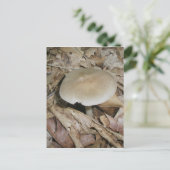 Brown Mushroom Postcard Postkarte (Stehend Vorderseite)