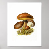 Brown Mushroom Print Poster (Vorne)