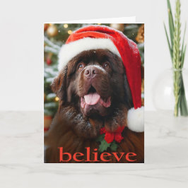 Brown Newf Christmas Card 'Glaube' Feiertagskarte