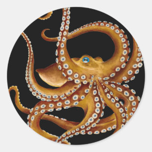 Brown Octopus Blue Eye Black Art Runder Aufkleber