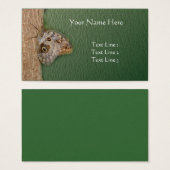 Brown Owl Butterfly auf Baumart (Vorne & Hinten)