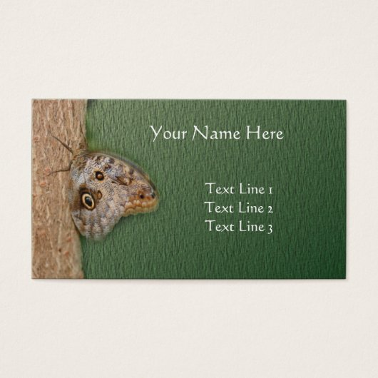 Brown Owl Butterfly auf Baumart (Vorderseite)