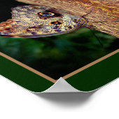 Brown Owl Butterfly Nah Natur Abstrakt Poster (Ecke)