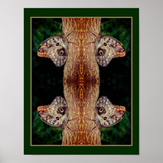 Brown Owl Butterfly Nah Natur Abstrakt Poster (Vorne)