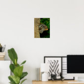 Brown Owl Butterfly Nature Art Poster (Heimbüro)
