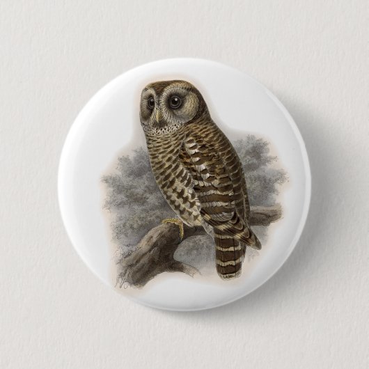 Brown Owl Button (Vorderseite)