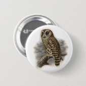 Brown Owl Button (Vorne & Hinten)