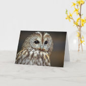 Brown Owl Grußkarte Karte (Gelbe Blume)