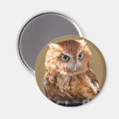 Brown Owl Magnet (Vorderseite/Rückseite)