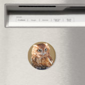 Brown Owl Magnet (In Situ (Geschirrspüler))
