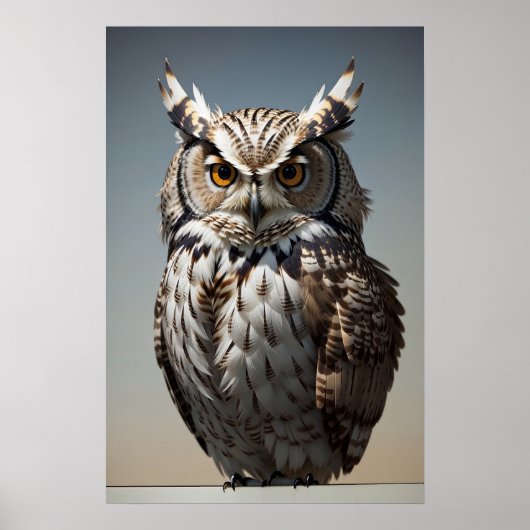 Brown Owl Poster (Vorne)