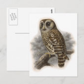 Brown Owl Postkarte (Vorne/Hinten)
